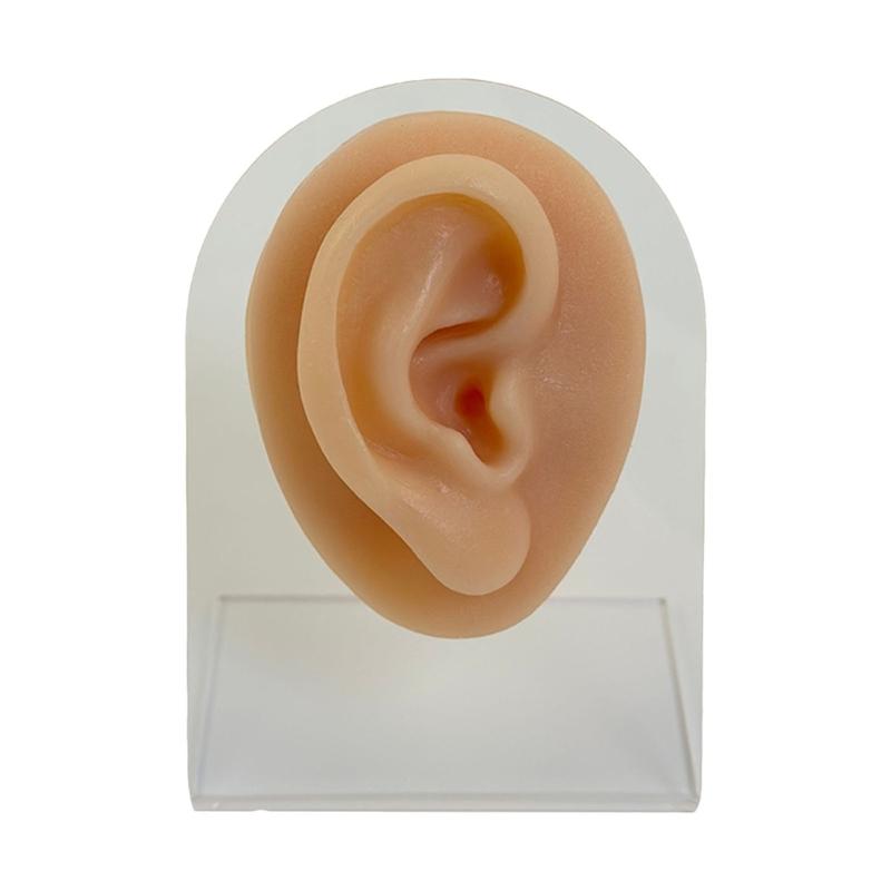 Professional Silicone Body Facials Piercing Trainer With Realistic Skin Texture For Dental Education And Aesthetic Labs