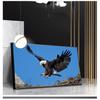 Scandinavian Decor Canvas Pictures for Living Room Eagle Painting Wall Art Quadros Decoracion Animals Posters and Prints Eagle