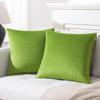 Velvet Solid Pillow Cover Removable Washable Sofa Cushion Case Soft Cozy Home Decor Elegant Comfortable Accent