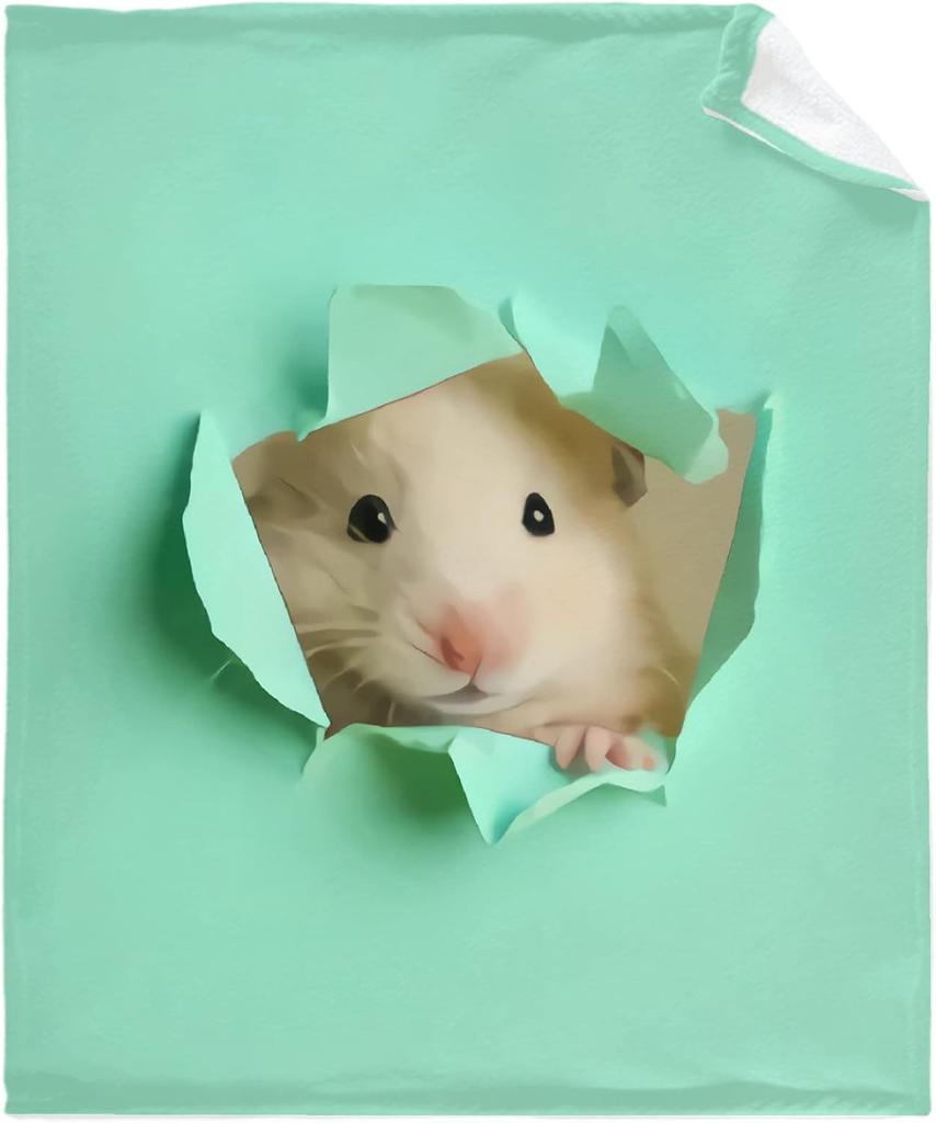 UltraSoft Flannel Fleece Throw Blanket with Dragon Print  Warm Cozy AllSeason Quilt for Bed Sofa Couch  Perfect Size X for Kids