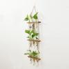 Wall Hanging Propagation Station Tiered Plant Hanger Flower Vases Wall Decor for Home Office