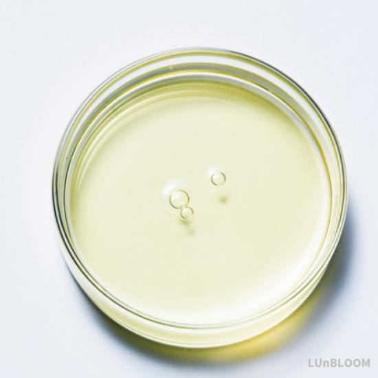 CNP Laboratory Propolis Rescue Ampule 50ml