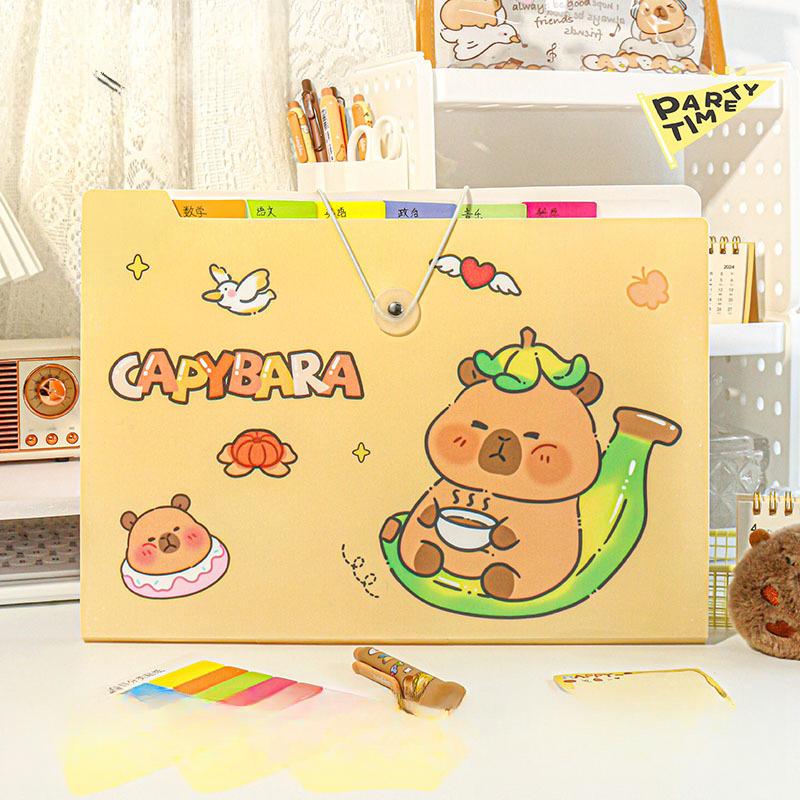 [16-Pocket Accordion Folder] Durable 16-Pocket A4 Expanding Accordion Folder | Multi-Layer Document Organizer with Colorful Index Dividers