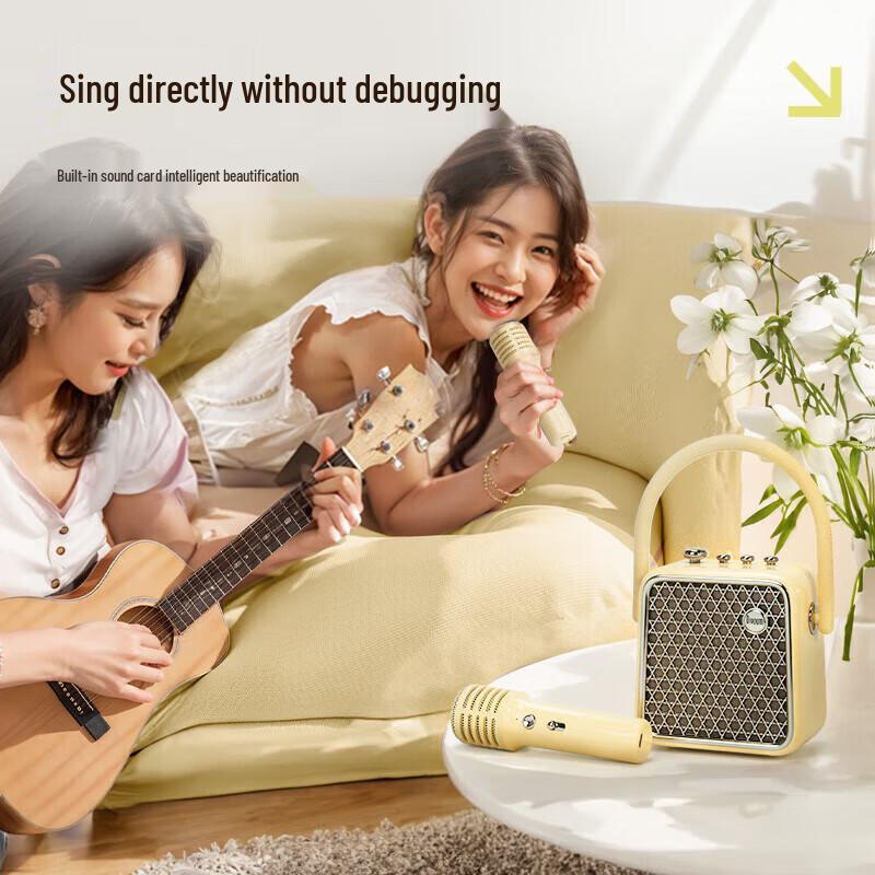 DianYin Home Karaoke Bluetooth Speaker with Dual Microphones