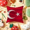 Turkiye Turkey Flag Cushion Cover Plush Fabric Soft Double-Sided Printed Sofa Warm Winter Home Gift Pillow Cover