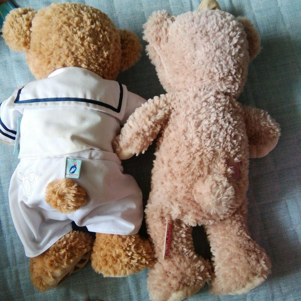 [USED] Official Tokyo Disney Resort Duffy & ShellieMay Plush Toy Teddy Bear