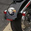 Eagle Pattern Waterproof PVC Car & Motorcycle Decal