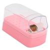 30 Holes Nail Drill Bit Holder Cleaning Brush Case Dsut Proof Stand Display Storage Manicure Tools