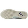 Nike Court Zoom NXT White Deep Royal Blue Men Sneakers Light-Bone Dynamic-Turquoise DH0219-141