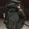 Tool Accessories Rubber Buckles Hook Outdoor Carabiner Sports Kettle Buckle Water Bottle Holder