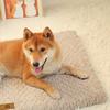 3D Foam Pet Bed With Removable Washable Faux Fur Cover Orthopedic Waterproof Dog Bed For Crate Anti-Slip Bottom Dog Bed