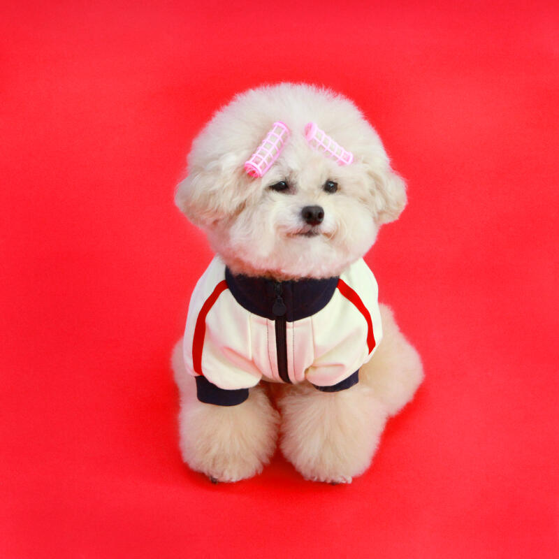 KINI TRAINING ZIPUP-IVORY XL