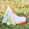 Pest Control Supermarket Fruit Vegetable Mesh Bag Storage Organizer Garden Supplies Protection Bag