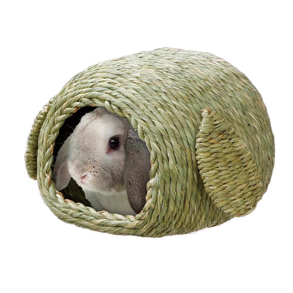 Minimal Land Timothy House (x 1)