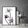 Picture Poster In a Frame 53x73 Cm Flower P1037