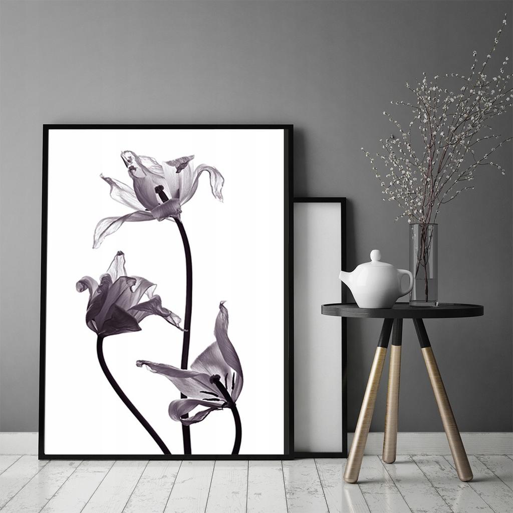 Picture Poster In a Frame 53x73 Cm Flower P1037