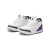 New Jordan 3 Retro Dark Iris TD DM0968-105