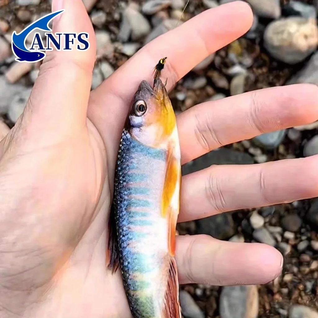 6pcs/box Realistic Design Nymph Jig Flying Fishing Set-Trout Fishing Slow Sink Fly with Rayon