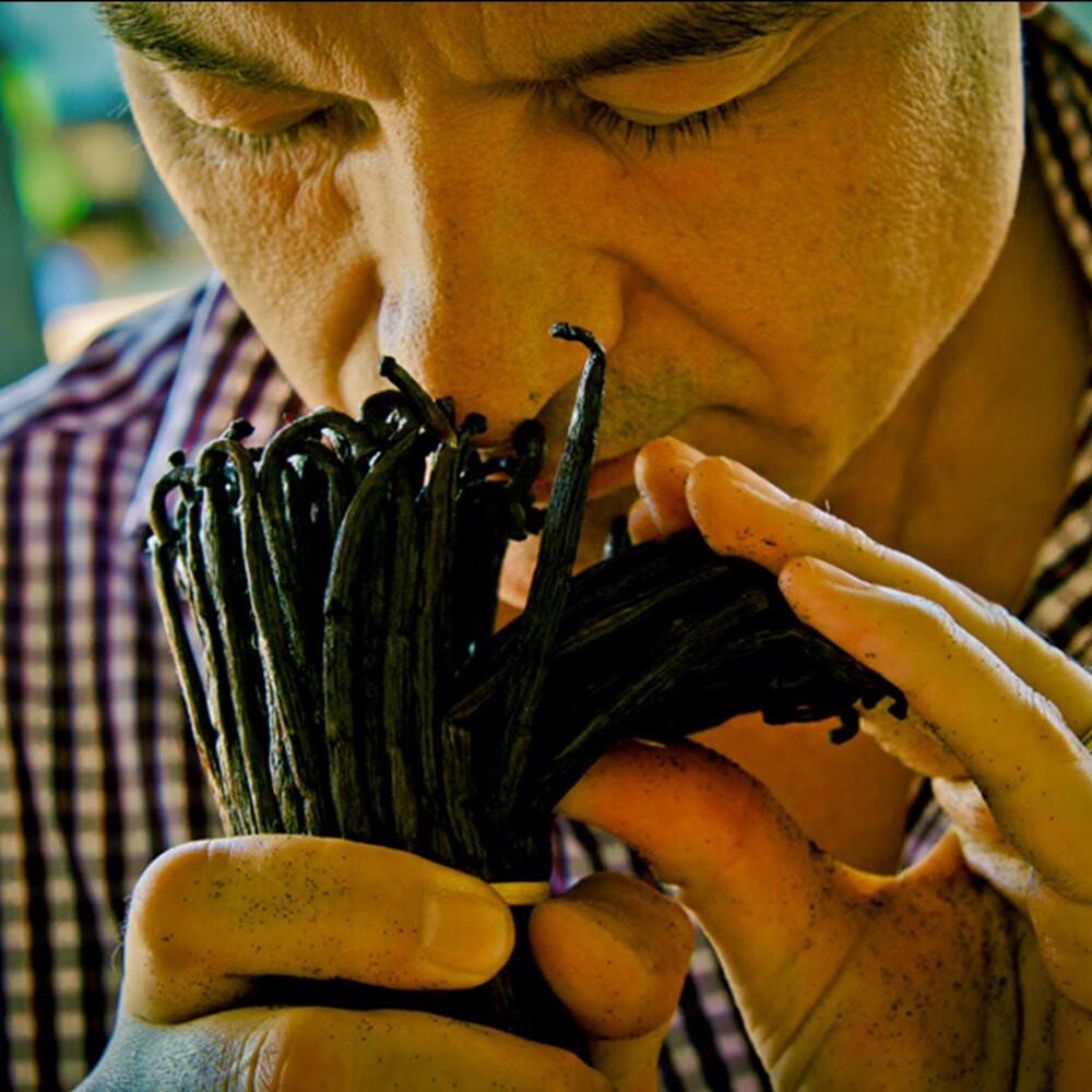 Guerlain - Eau de Parfum Shalimar 50 ml - 