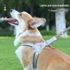 Extra Large Outdoor Pet Leash & Harness for Dogs and Cats