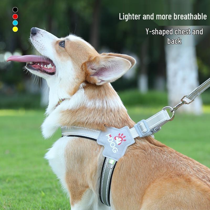 Extra Large Outdoor Pet Leash & Harness for Dogs and Cats