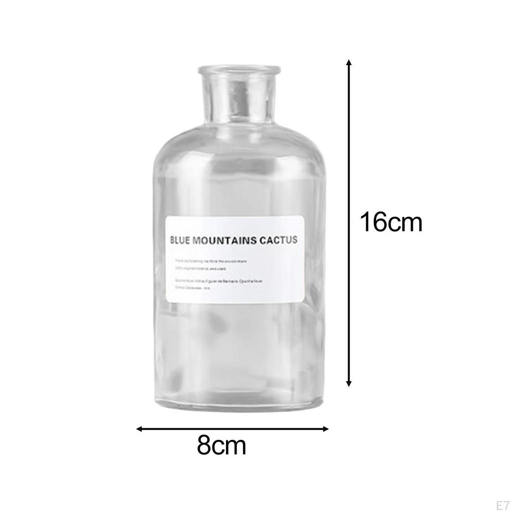 Glas Blume Vase Hydrokultur Pflanzen Topf Knospe Pflanzer für Abendessen Tisch Innen