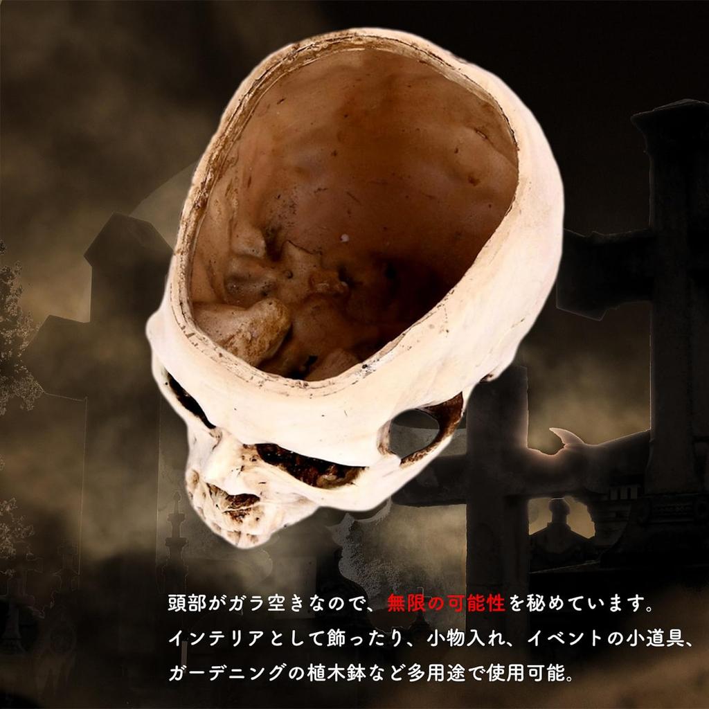 [Queen-b] Leere Schädel Schmuckdose, Tischplatte, Realistisches Schädel Skelett, Stilvolle und Niedliche Deko, Weißer Pflanztopf, Ständer, Topf, Halloween Gastgeschenke,