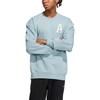 adidas Sweatshirts Unisex Blue Crew Neck Moderate Regular IB2743