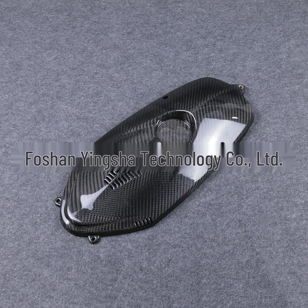 BMW R Nine T (2015-2016) Carbon Fiber Engine & Water Cooler Cover