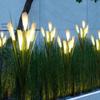 Solar LED Fiber Optic Reed Lamp for Outdoor Landscaping