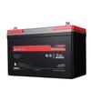 SANTAK C12-100AH Maintenance-Free Lead-Acid Battery