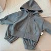 Kinder Sweatshirt Sets Kleidung Frühling Baby Jungen Mädchen Langarm Lässige Kapuzenjacke+Hose 2 Teile Herbst Kinder Trainingsanzug