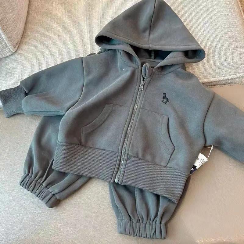 Kinder Sweatshirt Sets Kleidung Frühling Baby Jungen Mädchen Langarm Lässige Kapuzenjacke+Hose 2 Teile Herbst Kinder Trainingsanzug