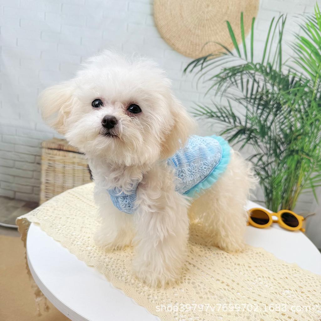 Summer Thin Breathable Suspender Pet Clothing Dog Clothes Cat Hollow Retro Lace Anti-hair Loss