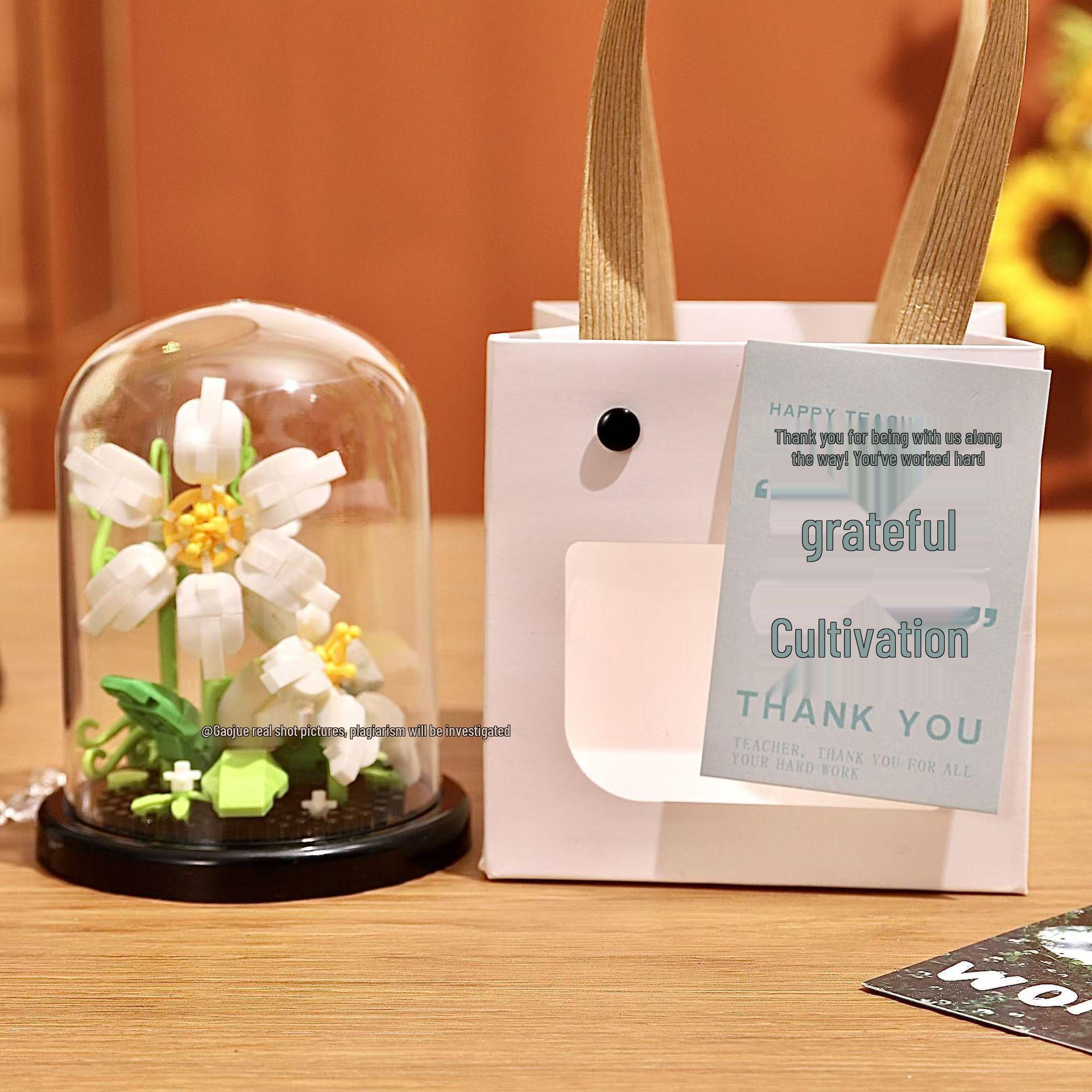 Подарок ко Дню учителя: Совместимый с Lego строительный блок Суккулентный букет и фигурки