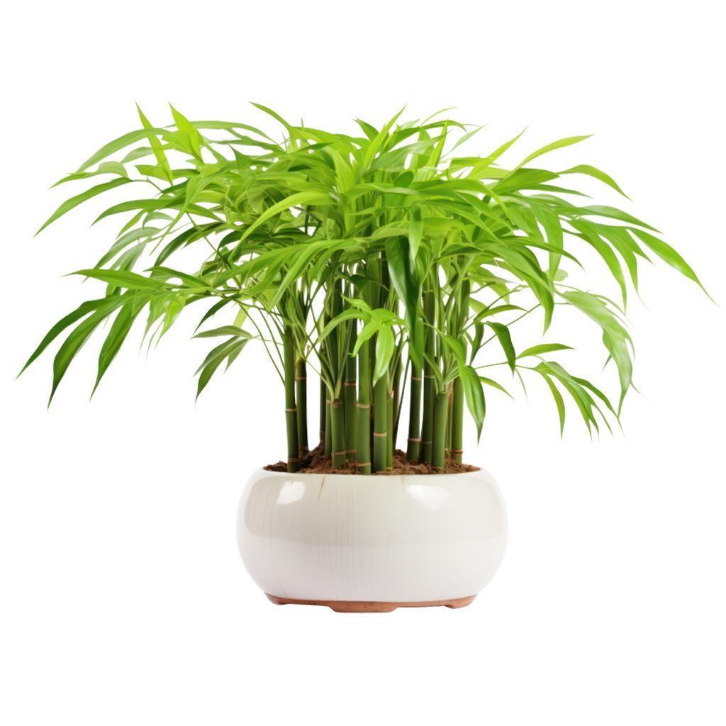 Bamboo Leaves Green Plant Wall Stickers, Removable Waterproof Self-Adhesive PVC Decals for Living Room Bedroom Bathroom Home Decor