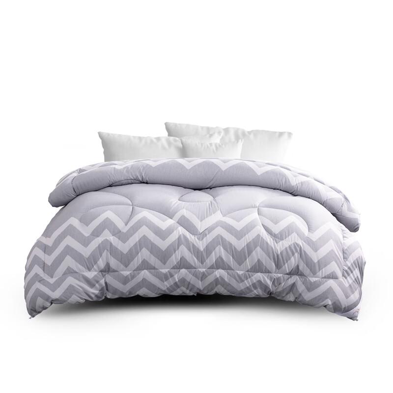 

Mercury Home Textiles DH Elegant Negative Ion Antibacterial Winter Fiber Quilt