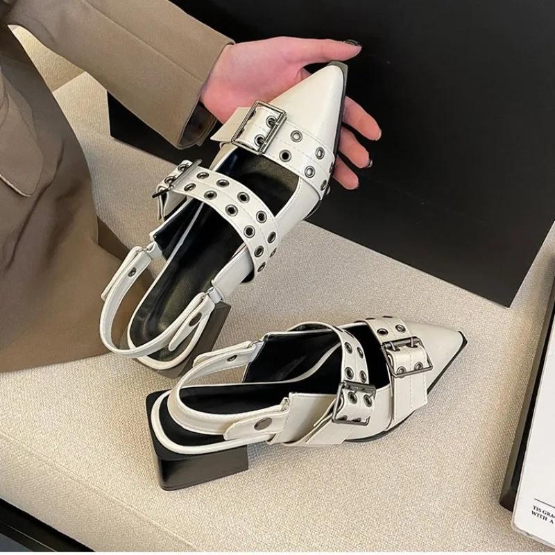 Fashion Pointy Mary Jane Shoes for Women 2024 Summer Retro Chunky Model with Skirt Small Leather Shoes Single Shoes for Women