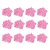 12Pcs Flowers Decoration High Imitation Bright Color Dried Flowers Dried Pressed Flowers for Nail Sticker Floral Decors