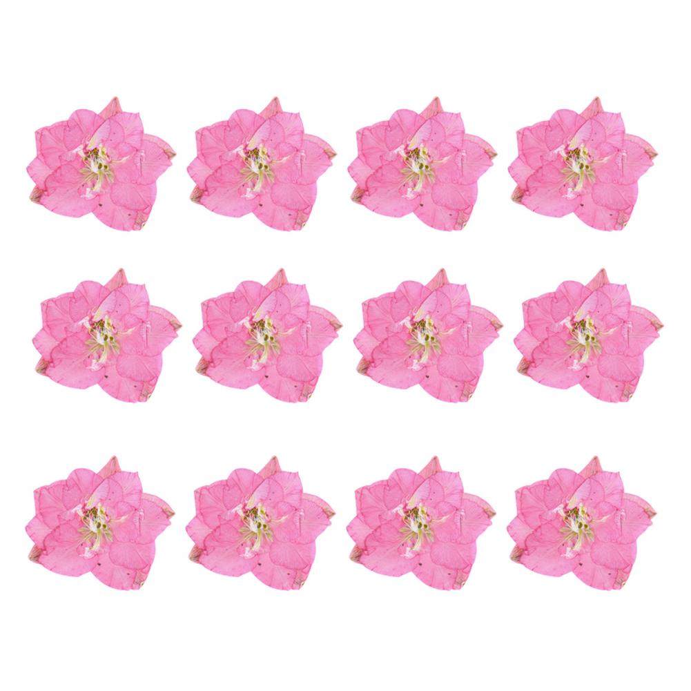 12Pcs Flowers Decoration High Imitation Bright Color Dried Flowers Dried Pressed Flowers for Nail Sticker Floral Decors