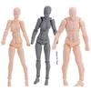 Anime Figure Figurine For Artists Human Postures Action  Drawing Figures Human Mannequin Figure Model Action Figure