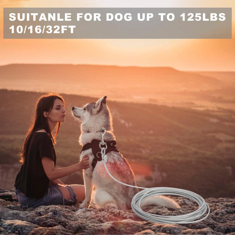 

Уличный поводок для собак из нержавеющей стали для домашних животных с двойной головкой для дрессировки собак для маленьких, средних и больших домашних животных