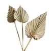 High-End Wabi-Sabi Dried Flower Decor: Natural Reeds & Wheat for Living Room or Homestay.