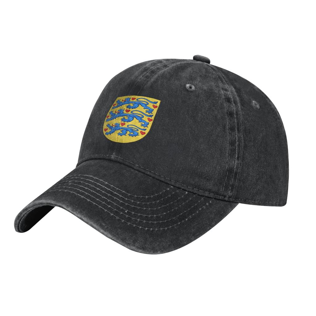Denmark Coat of Arms Casual Baseball Cap  Kpop Rock Trucker Hat Spring Sun-Proof Unisex-Teens Y2k Cute Baseball Caps