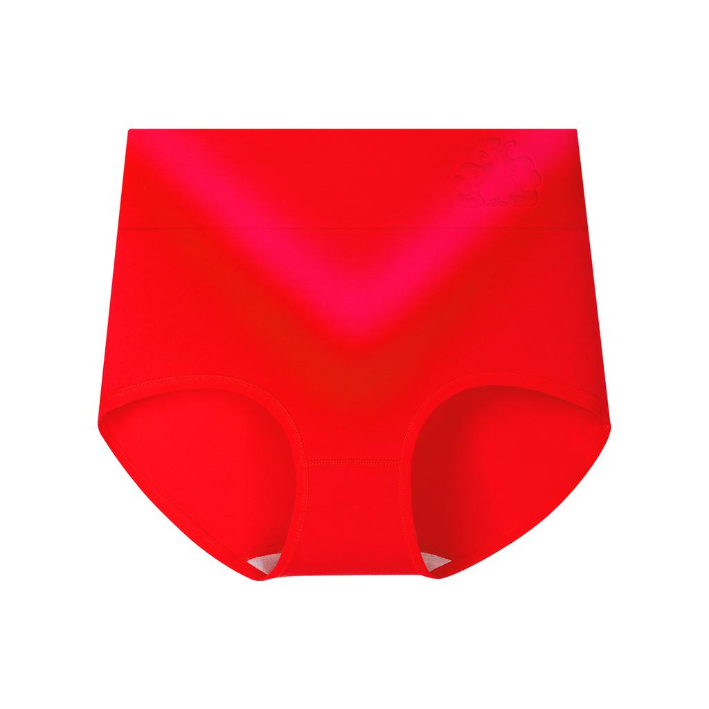 Plus Size Women's Pure Cotton 10A Antibacterial Cotton Crotch High Waist Tuck Briefs