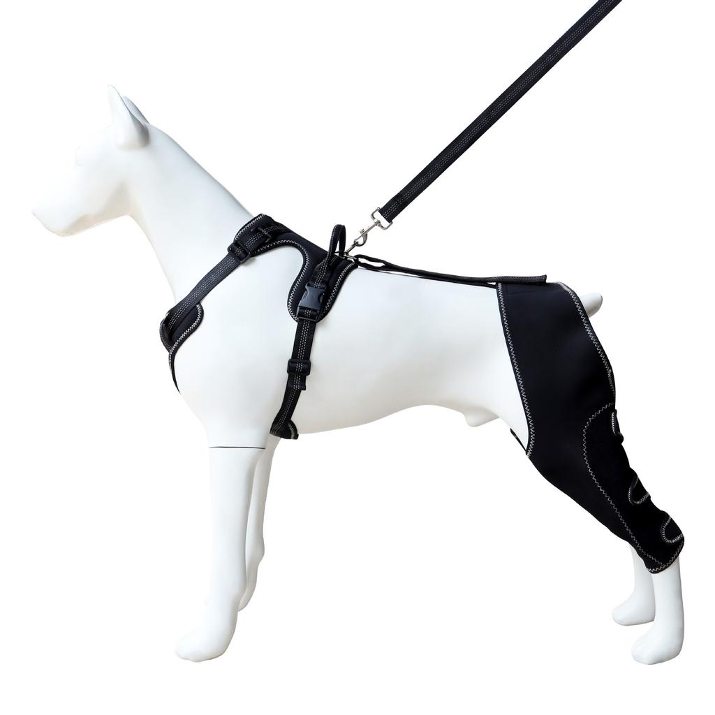 Pies Orteza Biodrowa Wsparcie na Ortezę Kolanową z Linką Trakcyjną, Regulowana Konstrukcja na Ból Stawów | Zapobieganie Lizaniu dla Dużych Psów