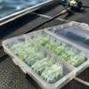 Soft Fishing Baits 5/10/20/40Pcs 4CM/1.3G Bionic Shrimp Lure, Glow-in-the-dark River Bait with Hook, Freshwater Saltwater Swimbait Supplies