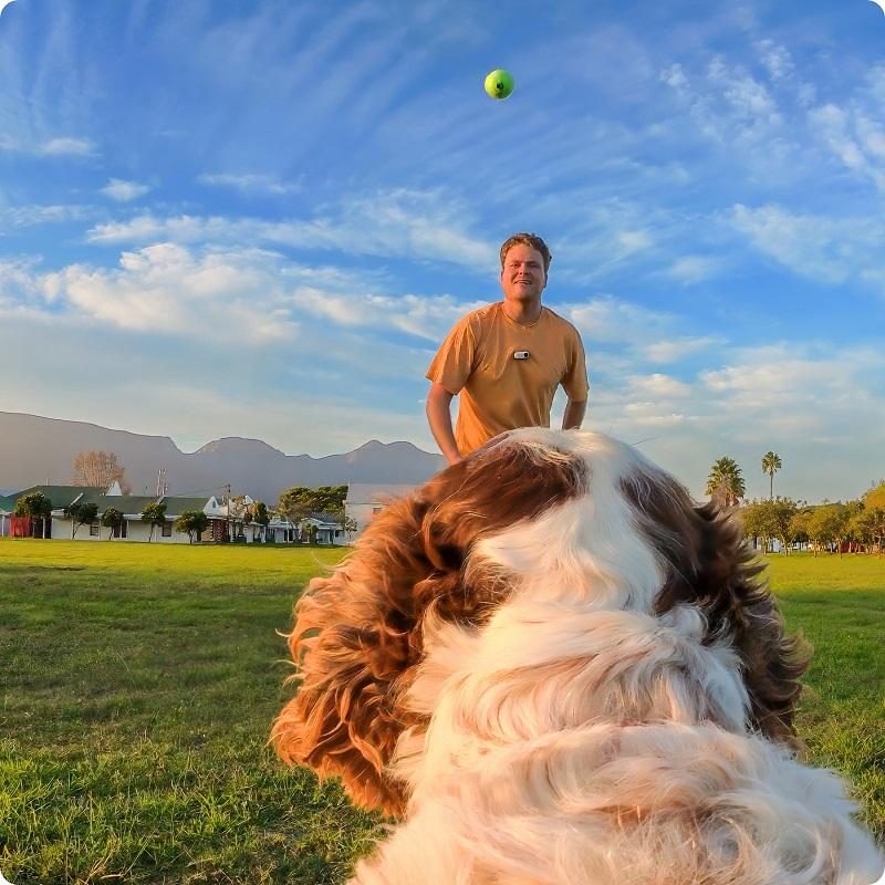 Insta360 GO 3\Go 3S  Pet Harness Mount  For Pet and Dog Original Accessories For Insta 360 GO3\GO3S