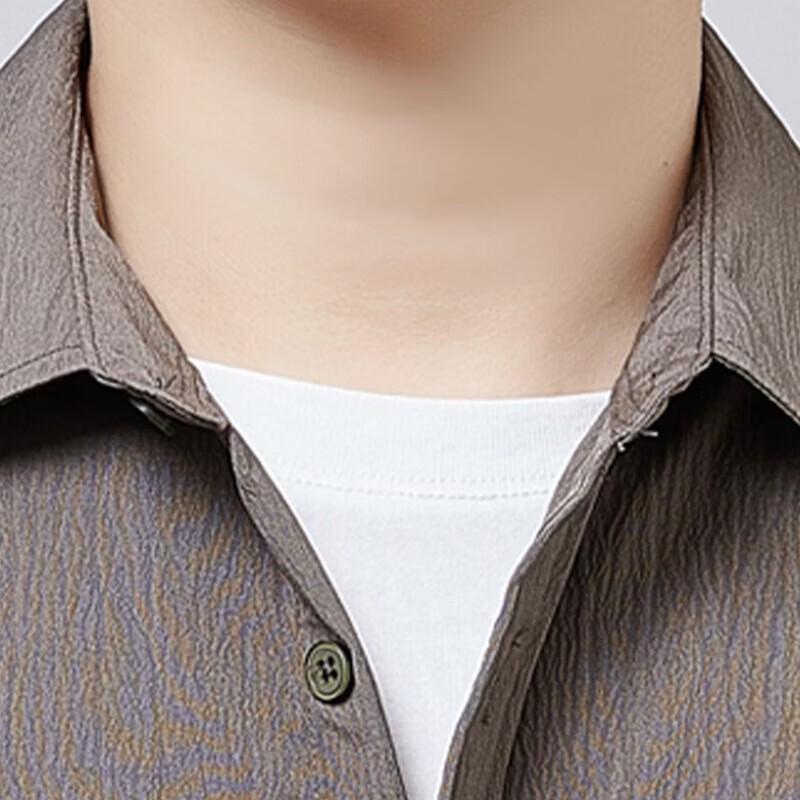 Men's Long Sleeve Casual Lapel Shirt