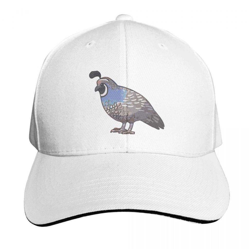 California Quail Baseball Cap Christmas Hat Unisex Hat Streetwear Fishing Hat Womens Beach Visor Unisexs